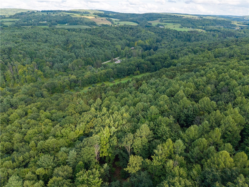 46 County Route Dansville, NY 14437 - Photo 6 of 50 Gallery Image 6