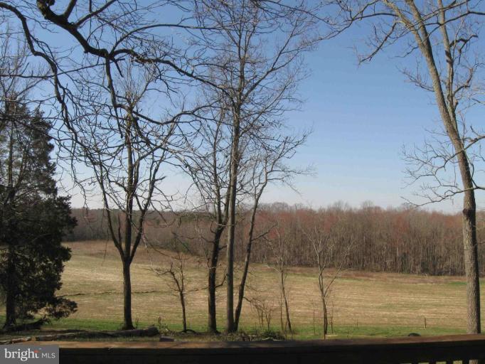 40175 Wathen Road Leonardtown, MD 20650 - Photo 2 of 18 Beautiful View from the Deck