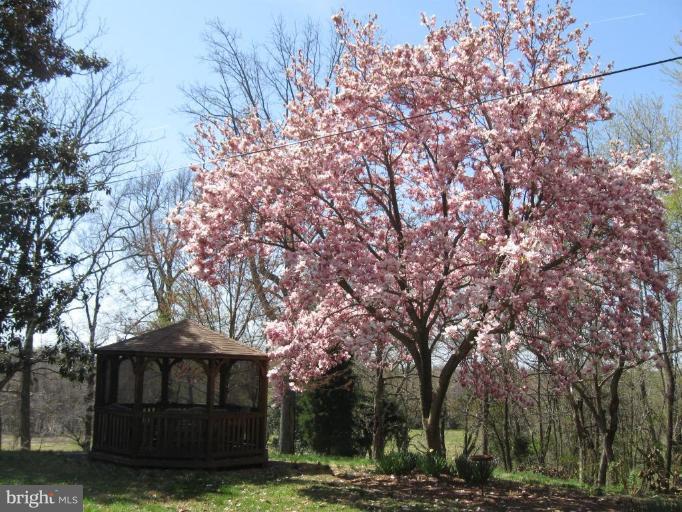 40175 Wathen Road Leonardtown, MD 20650 - Photo 3 of 18 Screened Gazebo w/Electric