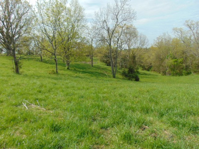 Cull Road Worthville, KY 41098 - Photo 17 of 29 Gallery Image 17