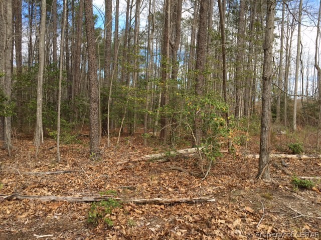 Lot Coopers Coopers Landing Road Heathsville, VA 22473 - Photo 2 of 4