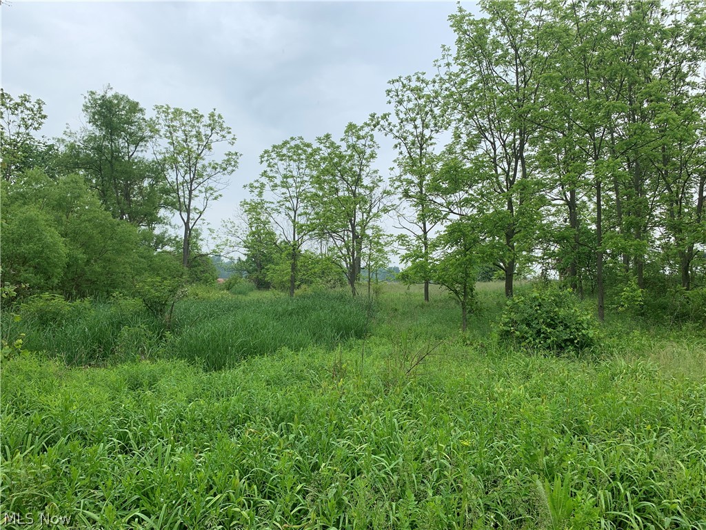 9350 Pawnee Road Homerville, OH 44235 - Photo 19 of 20 Gallery Image 19