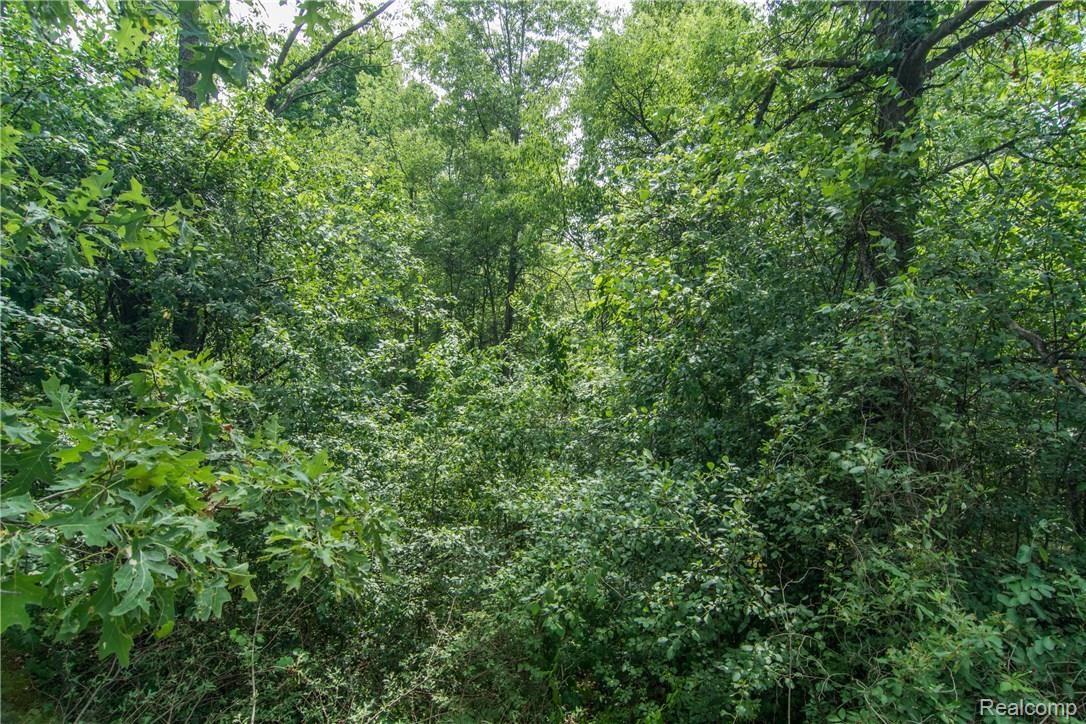 0 Andersonville Road Davisburg, MI 48350 - Photo 12 of 14 _DSC8189.jpg
