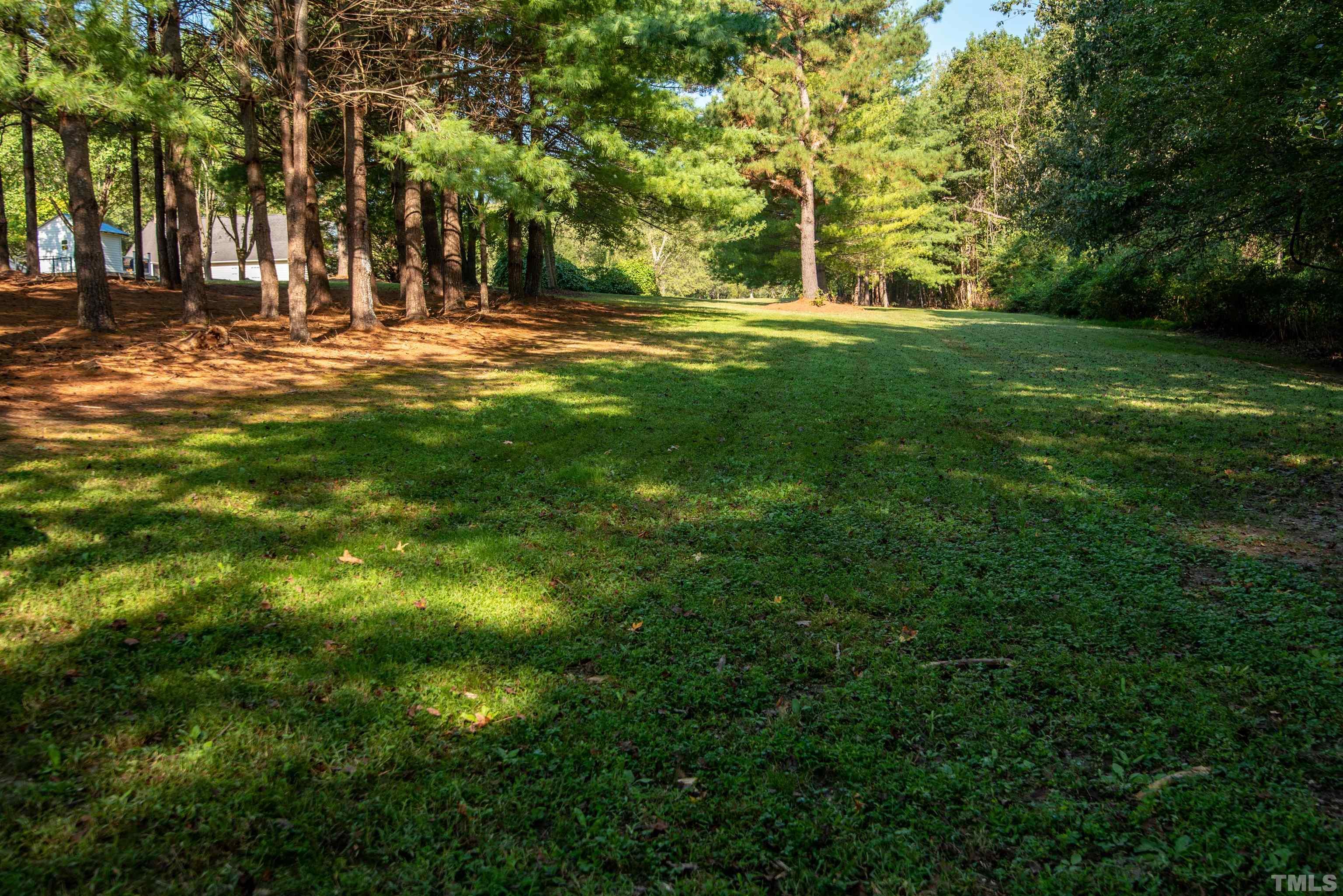 1578 Pope Road Creedmoor, NC 27522 - Photo 23 of 30 Gallery Image 23