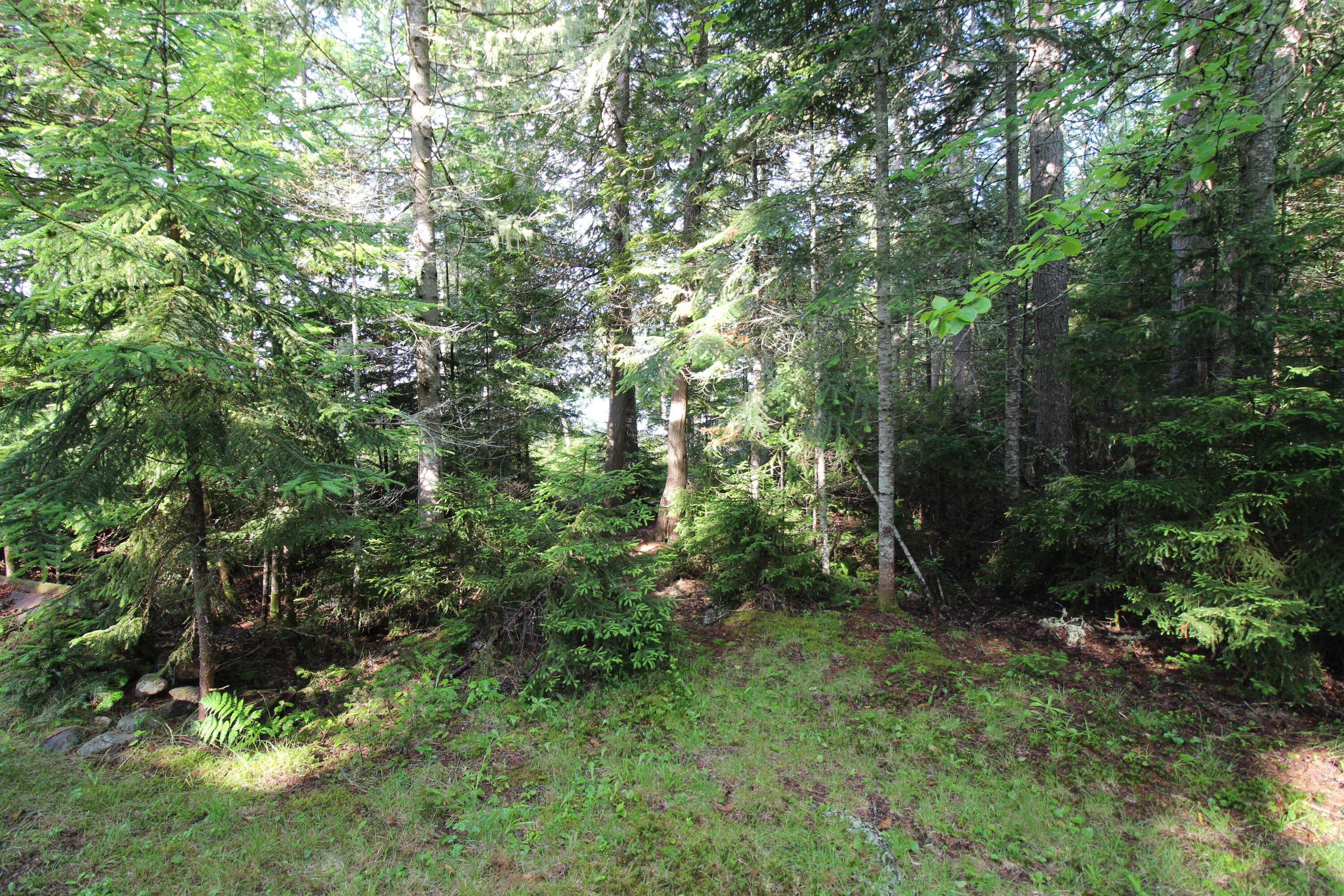 244 Birches Beach Road Oquossoc, ME 04964 - Photo 41 of 52 IMG_4957