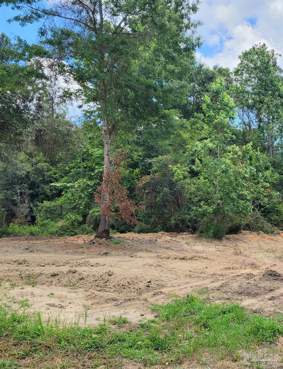 Lot 39 Rambling Way Pace, FL 32571 - Photo 1 of 10