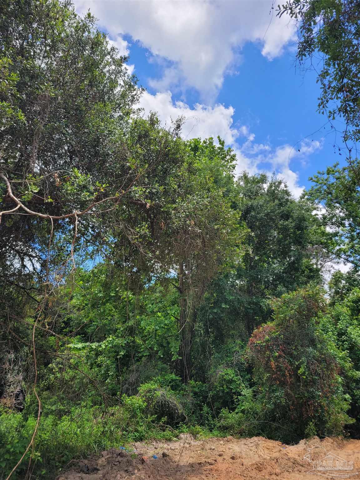 Lot 39 Rambling Way Pace, FL 32571 - Photo 2 of 10