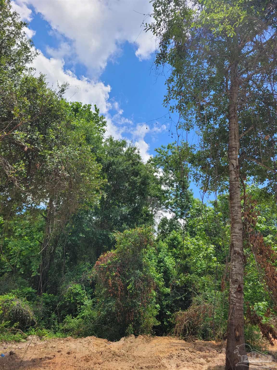 Lot 39 Rambling Way Pace, FL 32571 - Photo 3 of 10