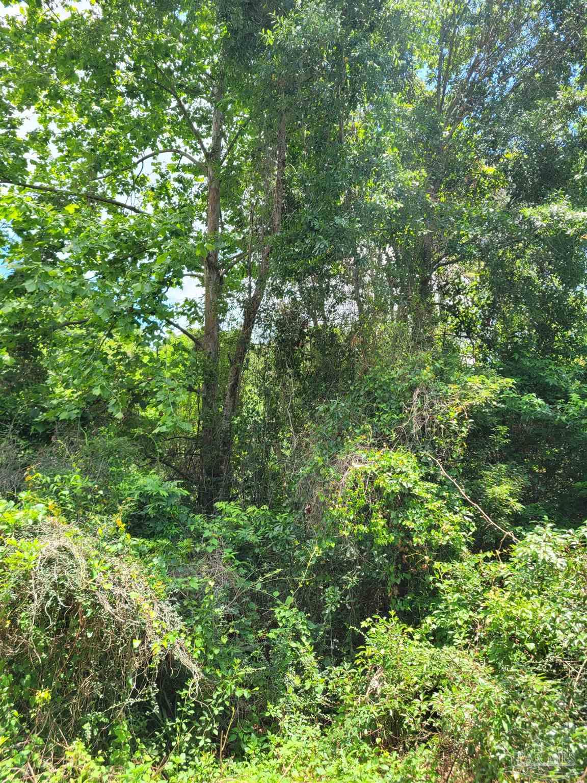 Lot 39 Rambling Way Pace, FL 32571 - Photo 4 of 10