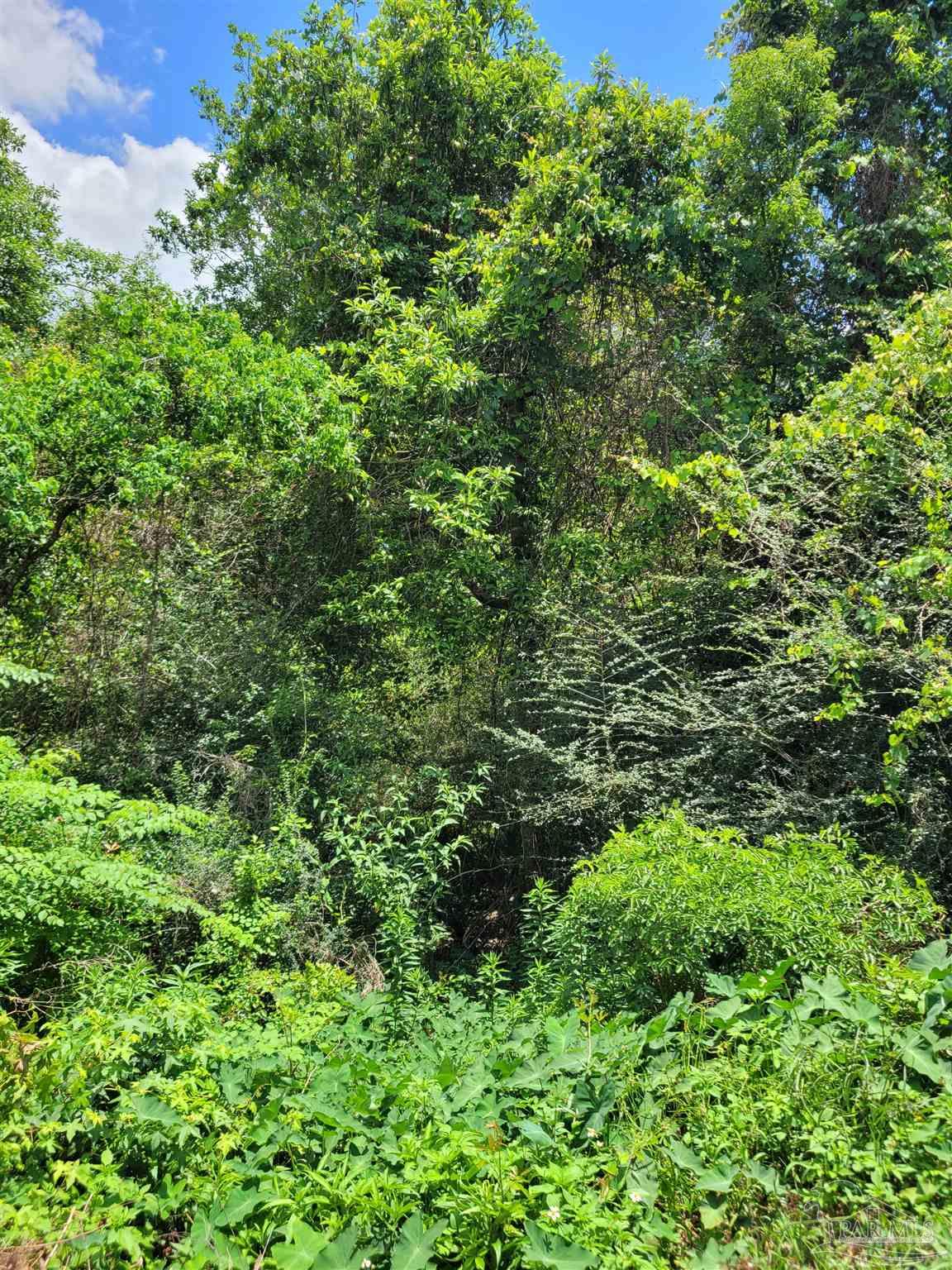 Lot 39 Rambling Way Pace, FL 32571 - Photo 6 of 10