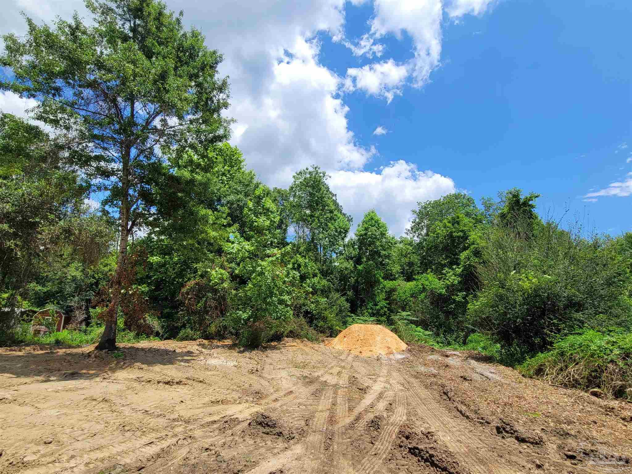 Lot 39 Rambling Way Pace, FL 32571 - Photo 7 of 10