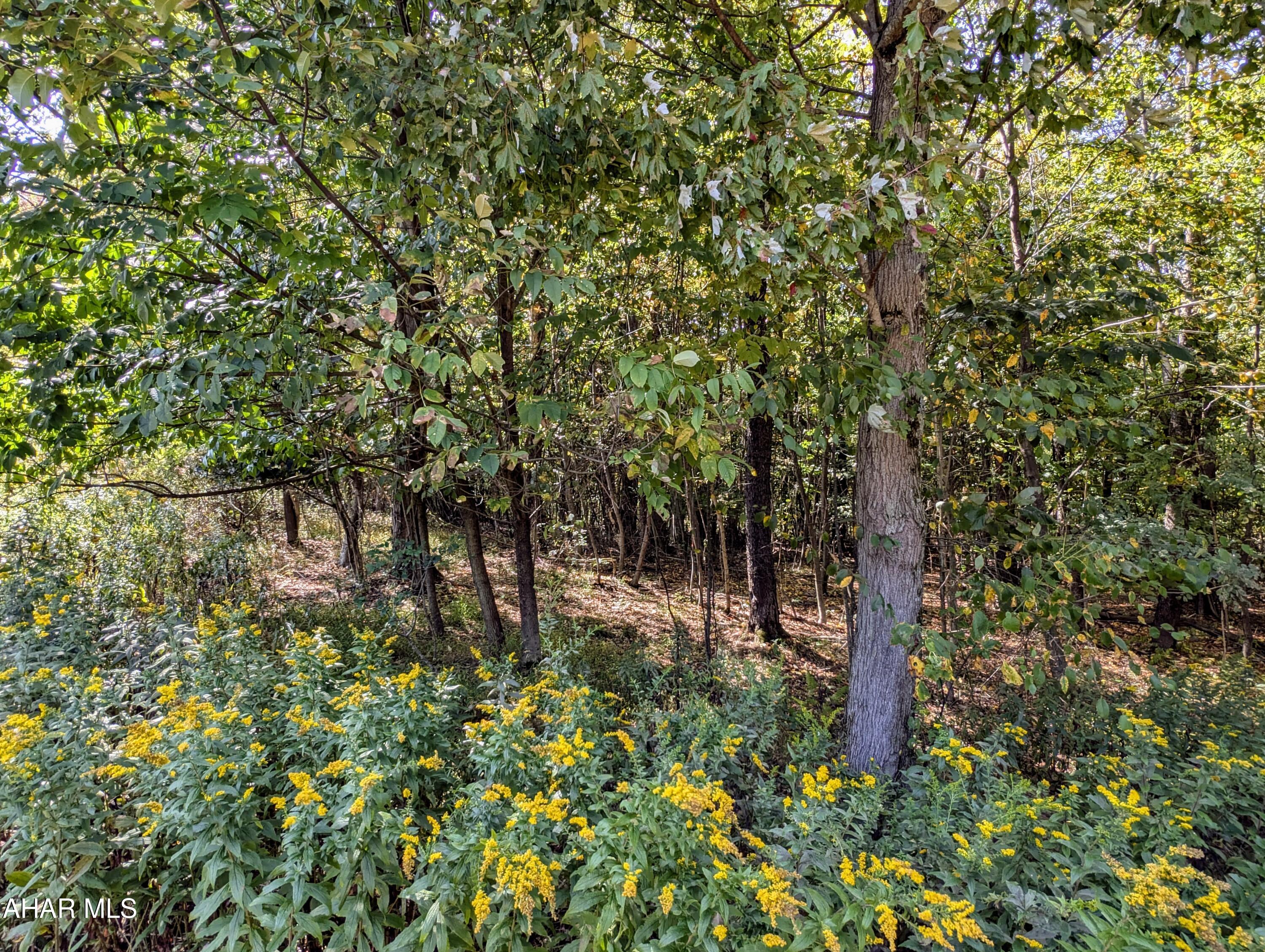 1849 Poplar Run Road Duncansville, PA 16635 - Photo 16 of 44 Gallery Image 16