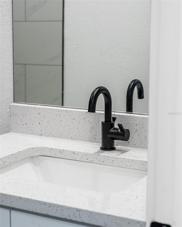 24419 Southwest Kingsway Circle Punta Gorda, FL 33983 - Photo 29 of 51 a close view of a faucet a sink and a faucet