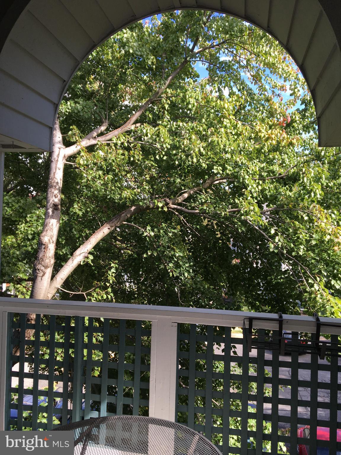 11710 Summerchase Circle, Unit E Reston, VA 20194 - Photo 21 of 34