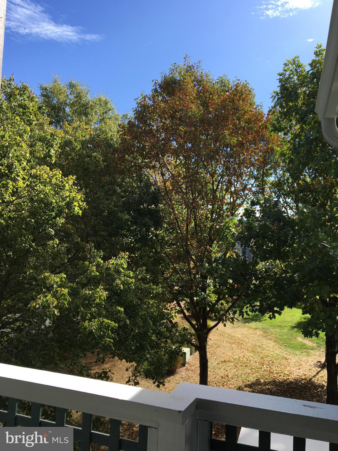 11710 Summerchase Circle, Unit E Reston, VA 20194 - Photo 23 of 34