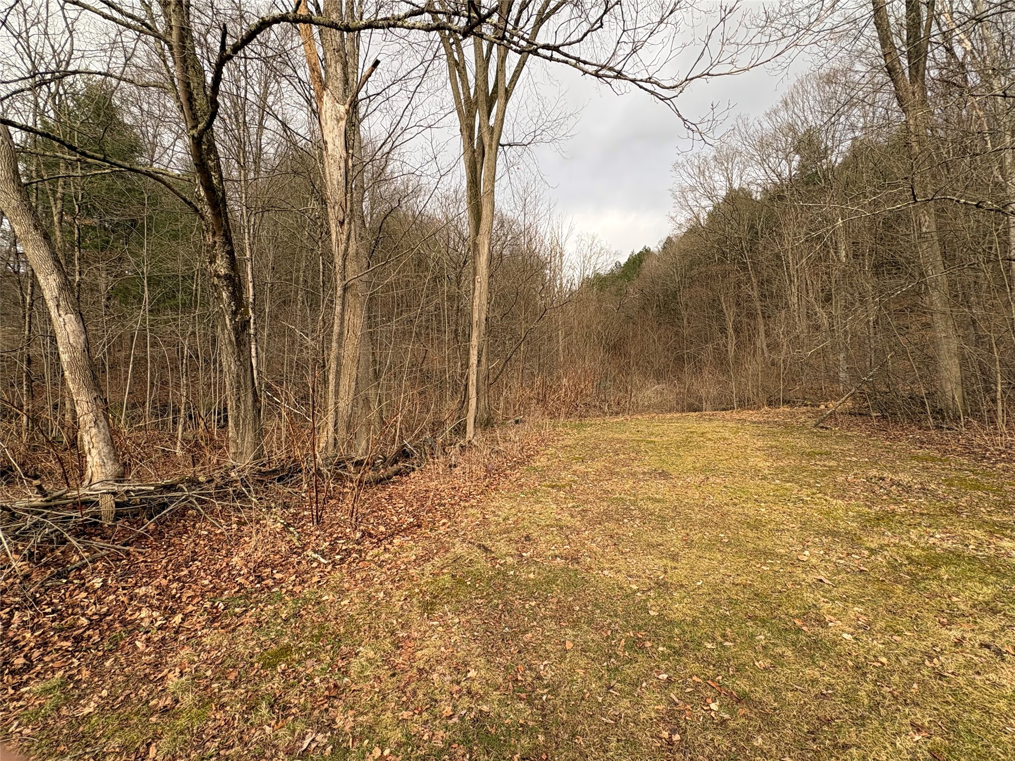 22 Chestnut Street Windsor, NY 13865 - Photo 44 of 45