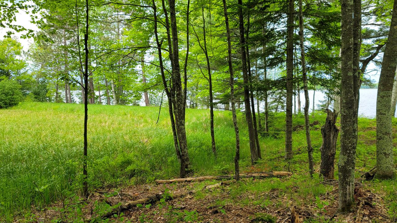 Lot #94 Camp St. George Road Eagle River, WI 54521 - Photo 8 of 10 Gallery Image 8
