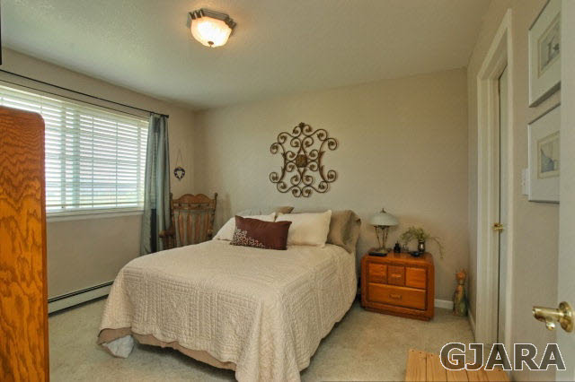 1598 P Road Loma, CO 81524 - Photo 14 of 25 a bedroom with a bed and a window