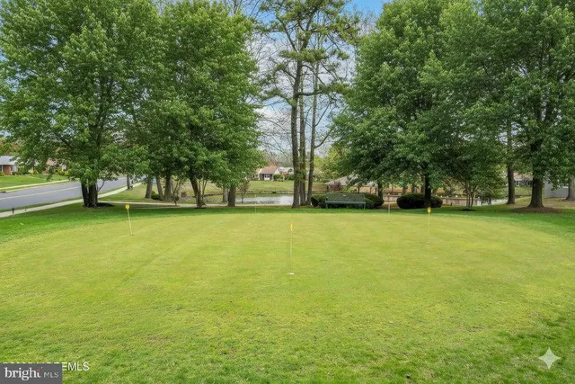 a view of yard with swimming pool and green space