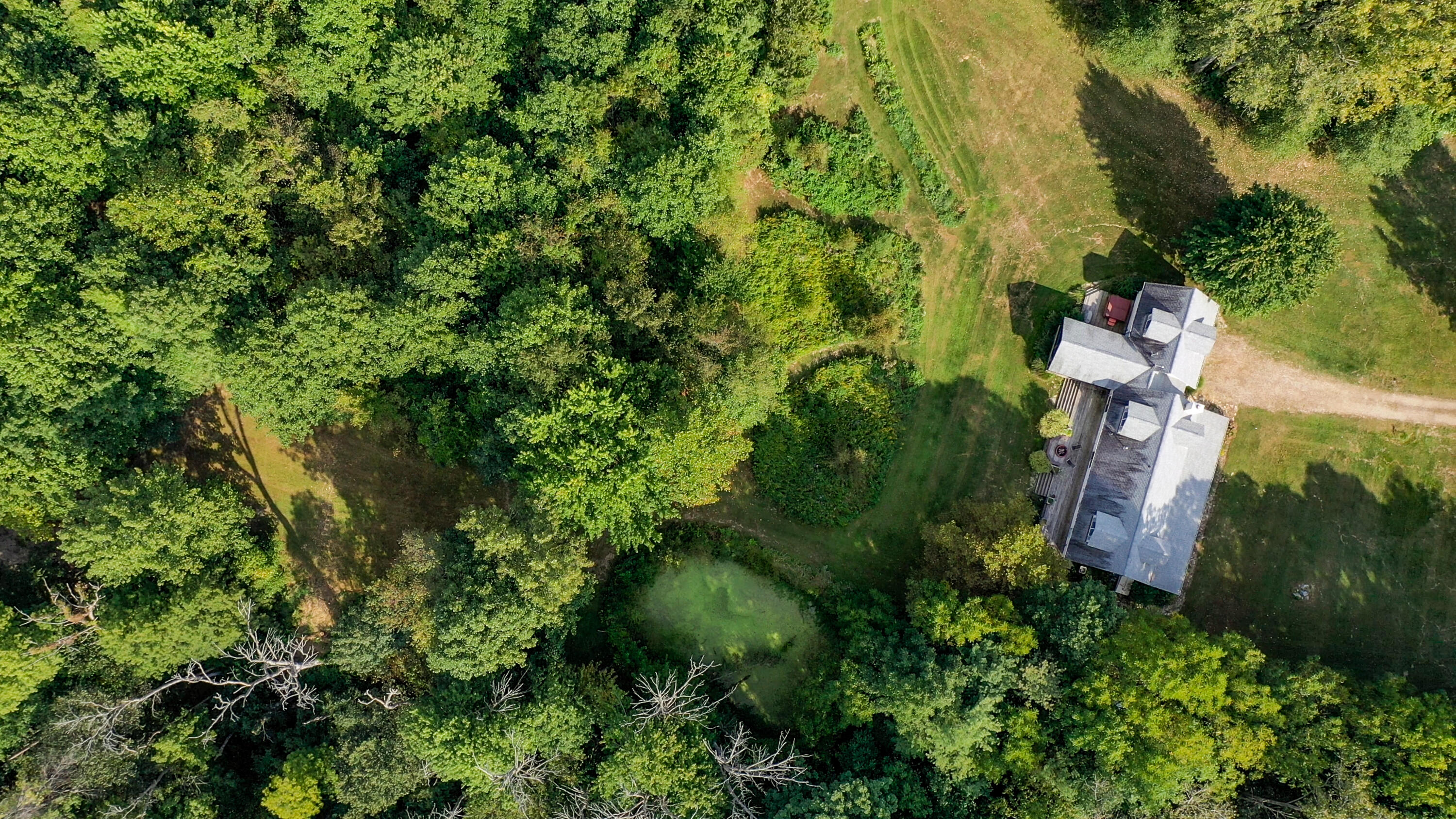 3893 West Kaiser Road Three Oaks, MI 49128 - Photo 17 of 22 Aerial 3
