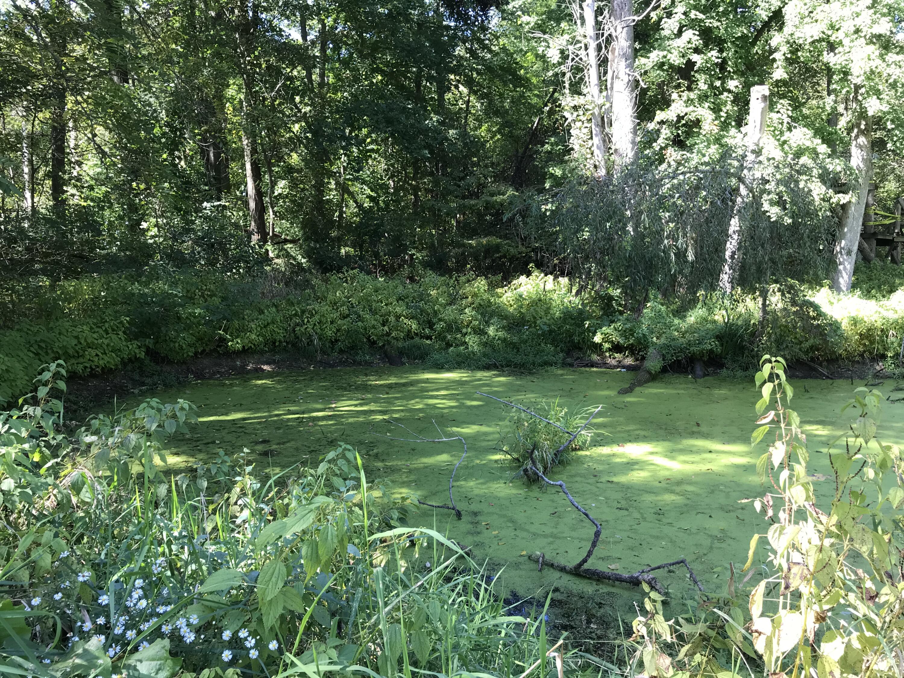 3893 West Kaiser Road Three Oaks, MI 49128 - Photo 20 of 22 IMG_5064
