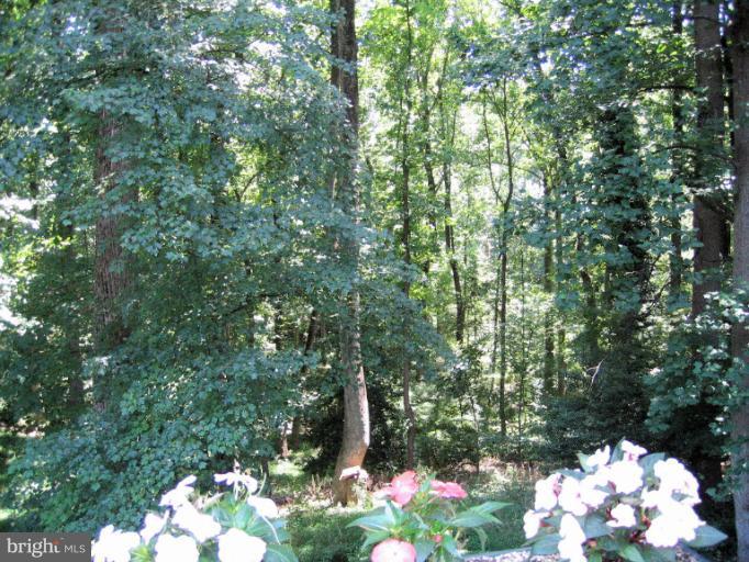 12607 Pentenville Road Silver Spring, MD 20904 - Photo 2 of 30 View
