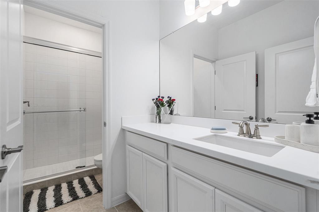 33774 Castaway Loop Wesley Chapel, FL 33543 - Photo 57 of 87
