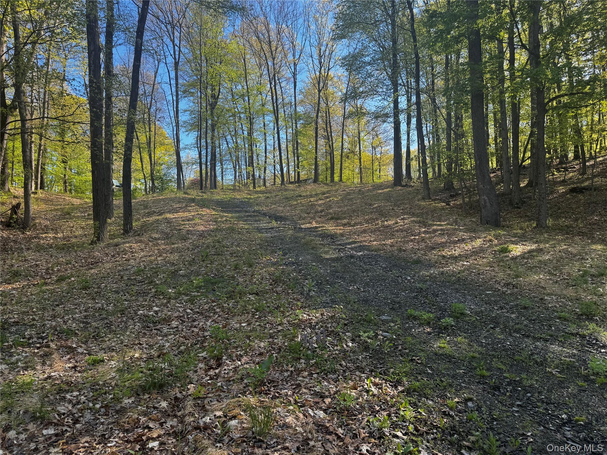 Hall Hill Road Ancram, NY 12502 - Photo 4 of 11 a view of outdoor space with deck and trees