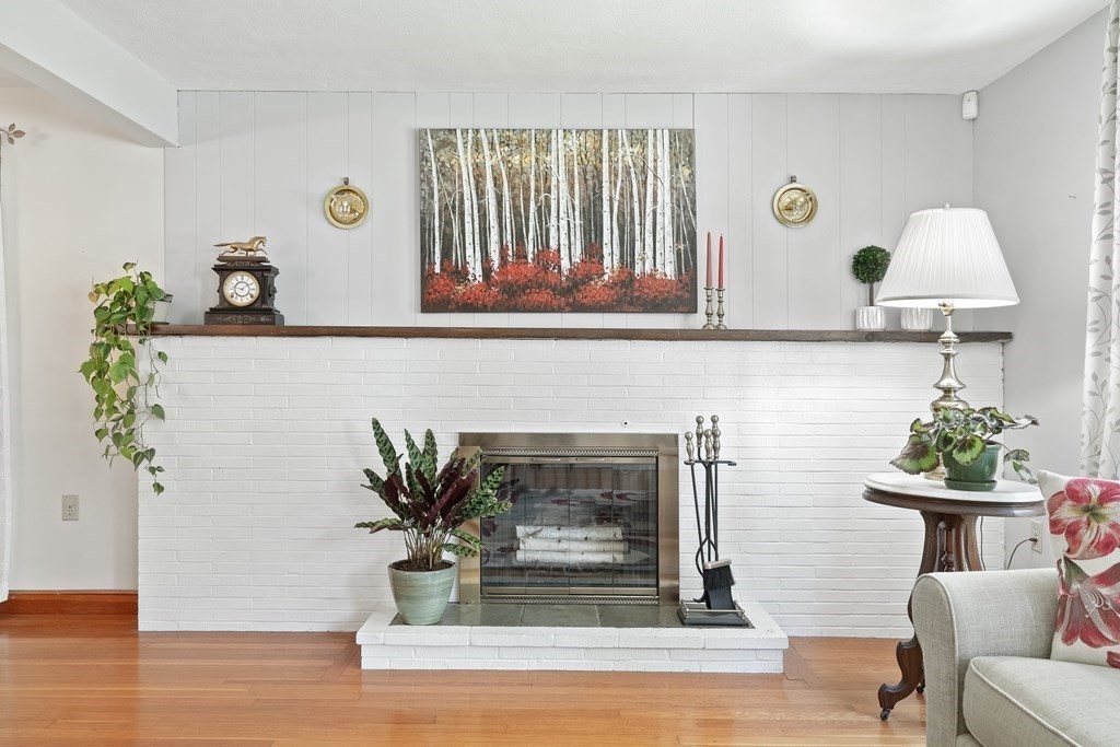 122 Chickering Road Dedham, MA 02026 - Photo 6 of 41 a living room with furniture and a potted plant