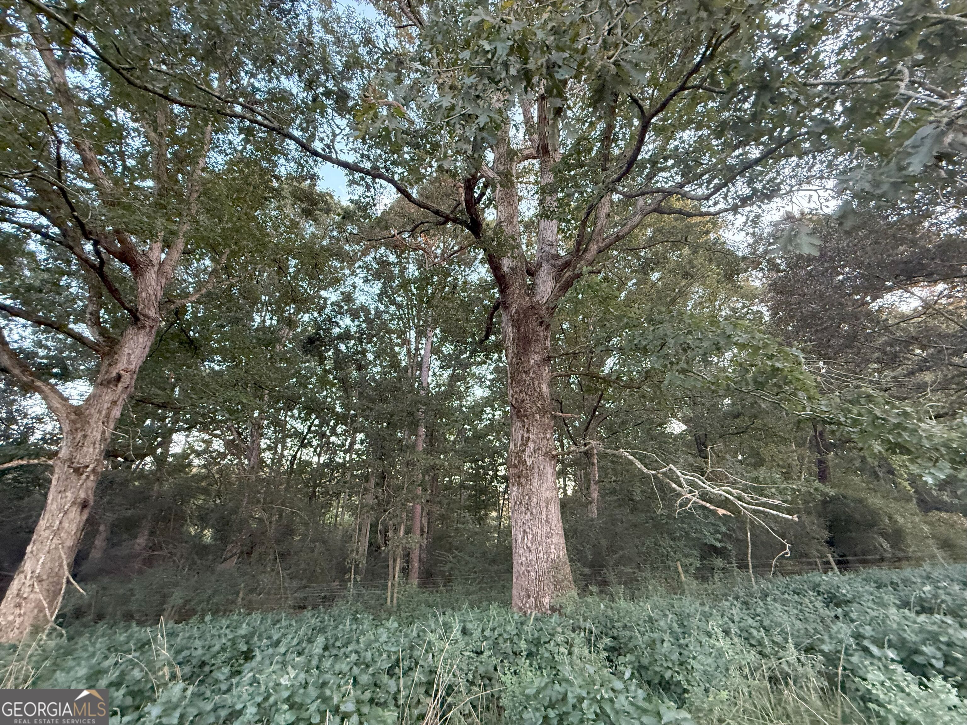 9 West L Williams Road Commerce, GA 30530 - Photo 12 of 34 a backyard of a house with lots of green space
