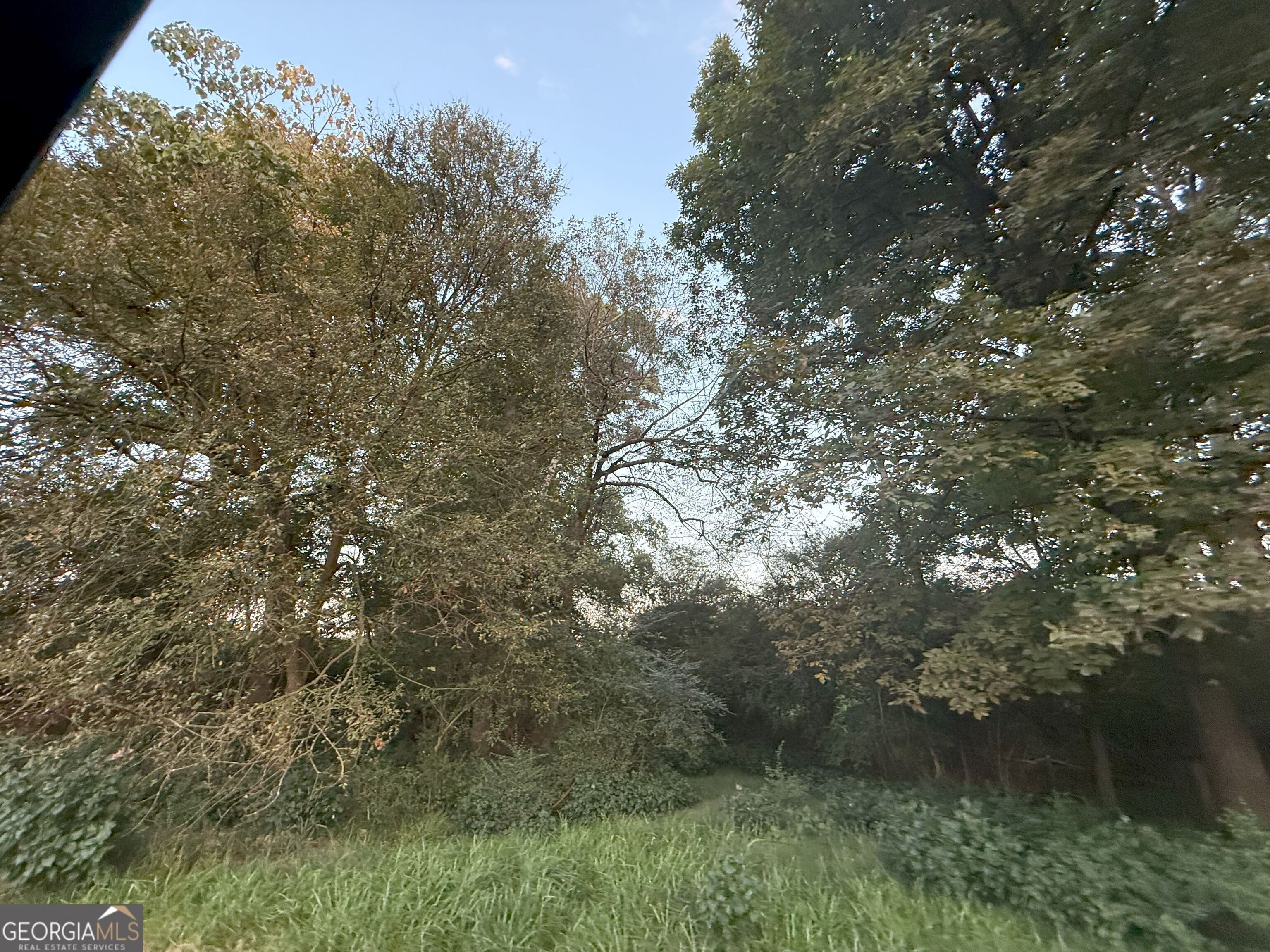 9 West L Williams Road Commerce, GA 30530 - Photo 13 of 34 a view of a tree in a yard