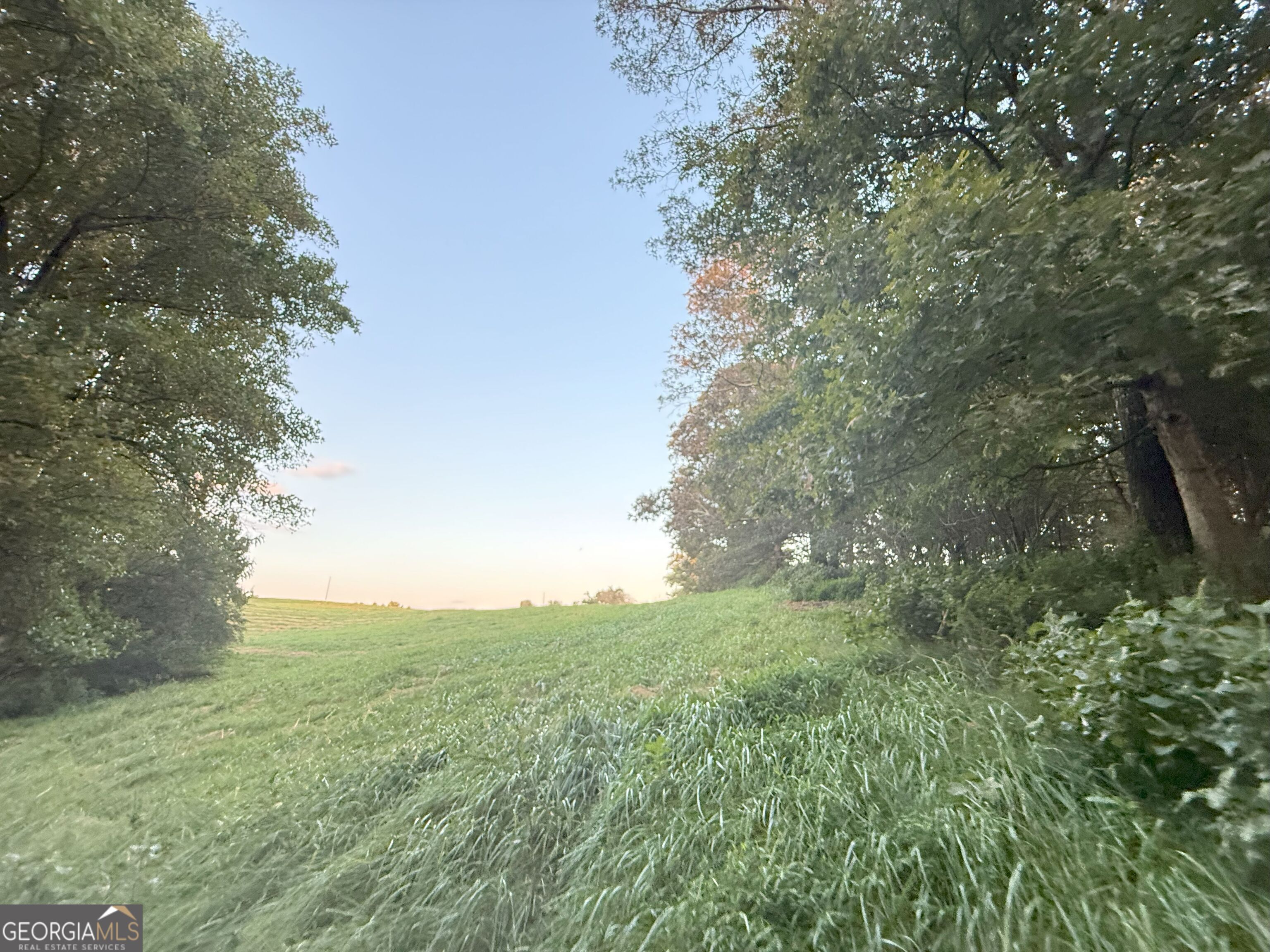 9 West L Williams Road Commerce, GA 30530 - Photo 14 of 34 a view of a forest with a tree