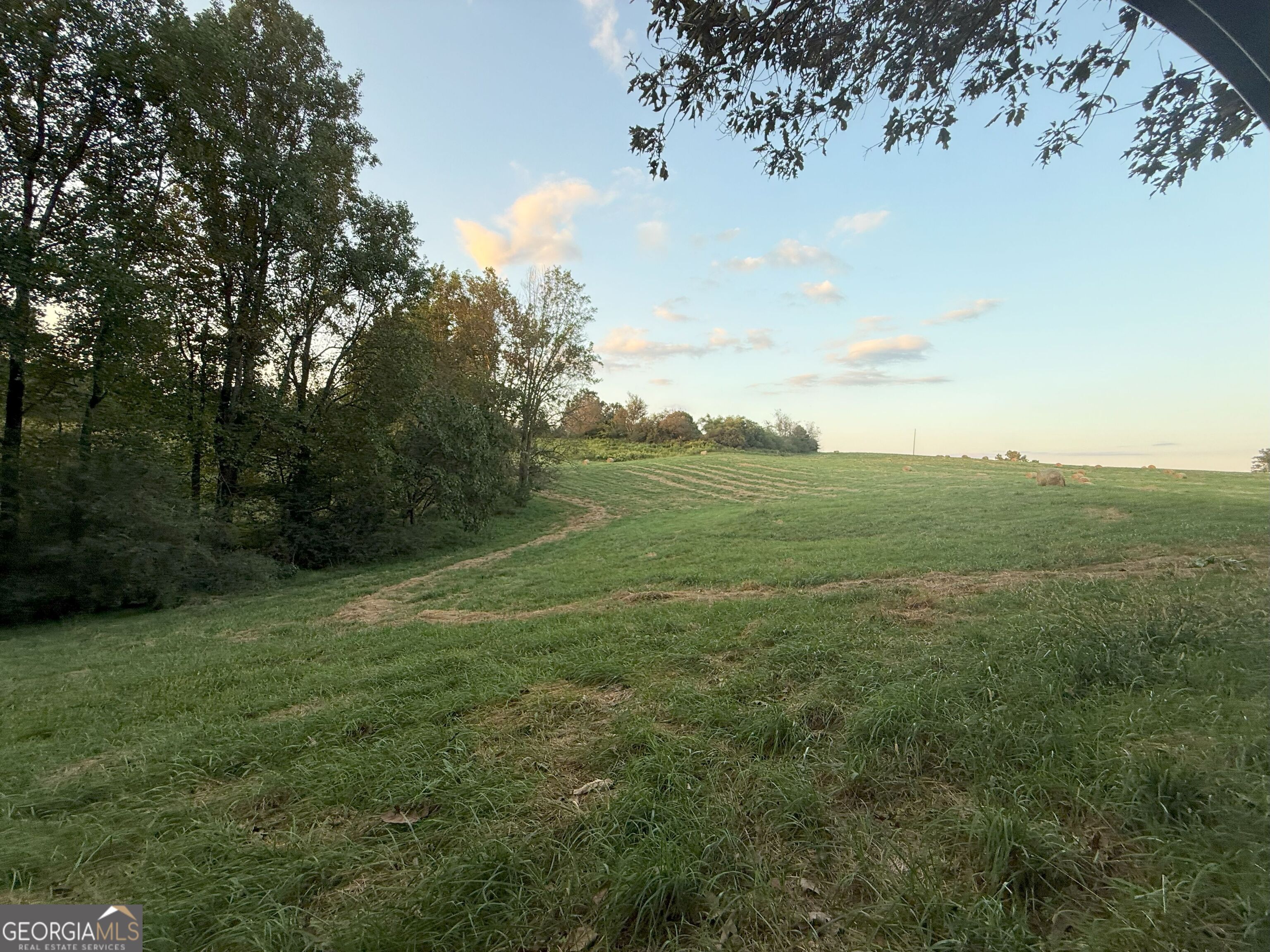 9 West L Williams Road Commerce, GA 30530 - Photo 15 of 34 a view of a field with an trees