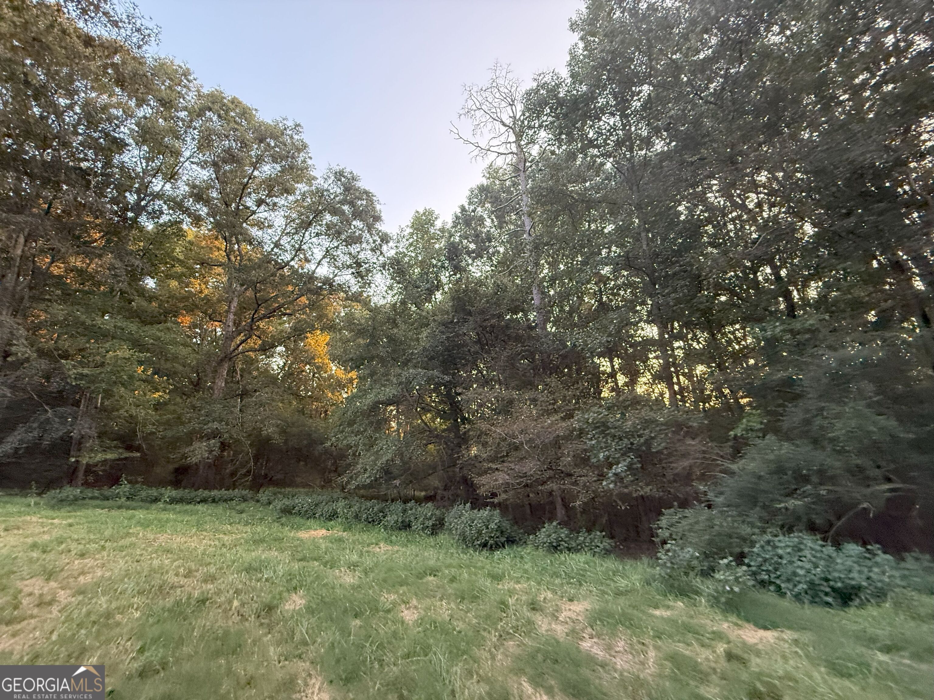 9 West L Williams Road Commerce, GA 30530 - Photo 16 of 34 a view of outdoor space and yard