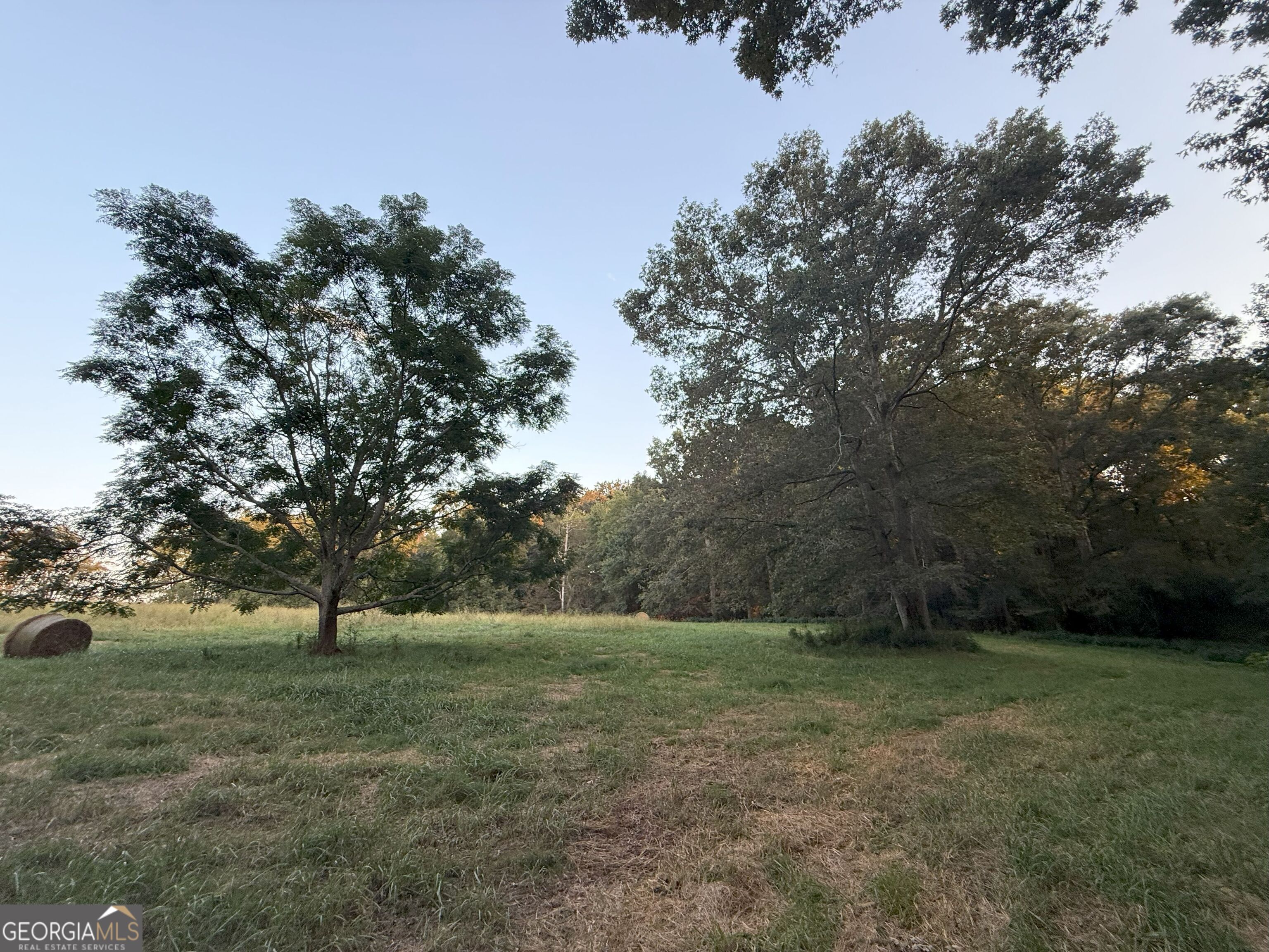 9 West L Williams Road Commerce, GA 30530 - Photo 19 of 34 a view of outdoor space with green field and trees