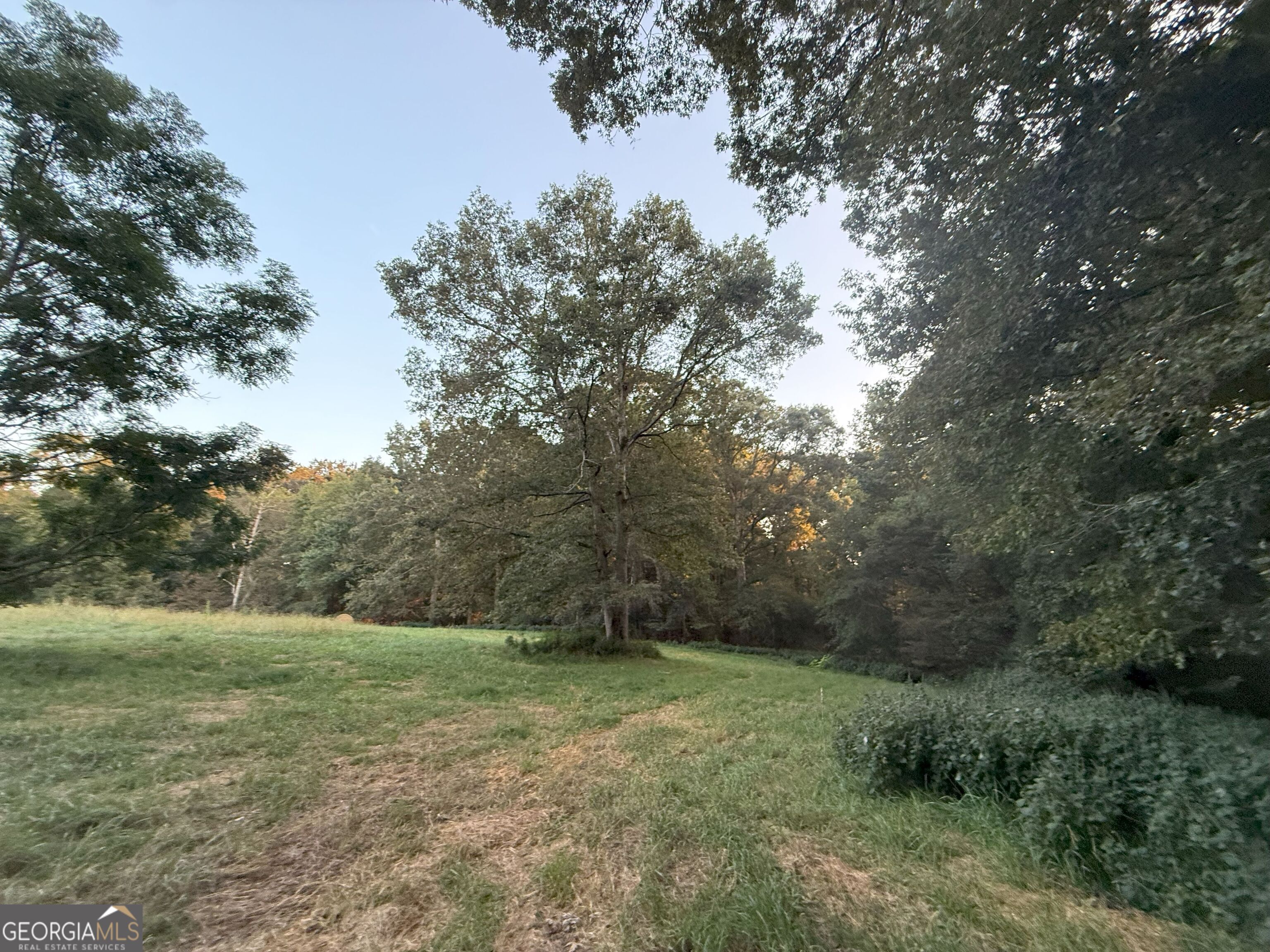 9 West L Williams Road Commerce, GA 30530 - Photo 21 of 34 a big yard with lots of green space and fog