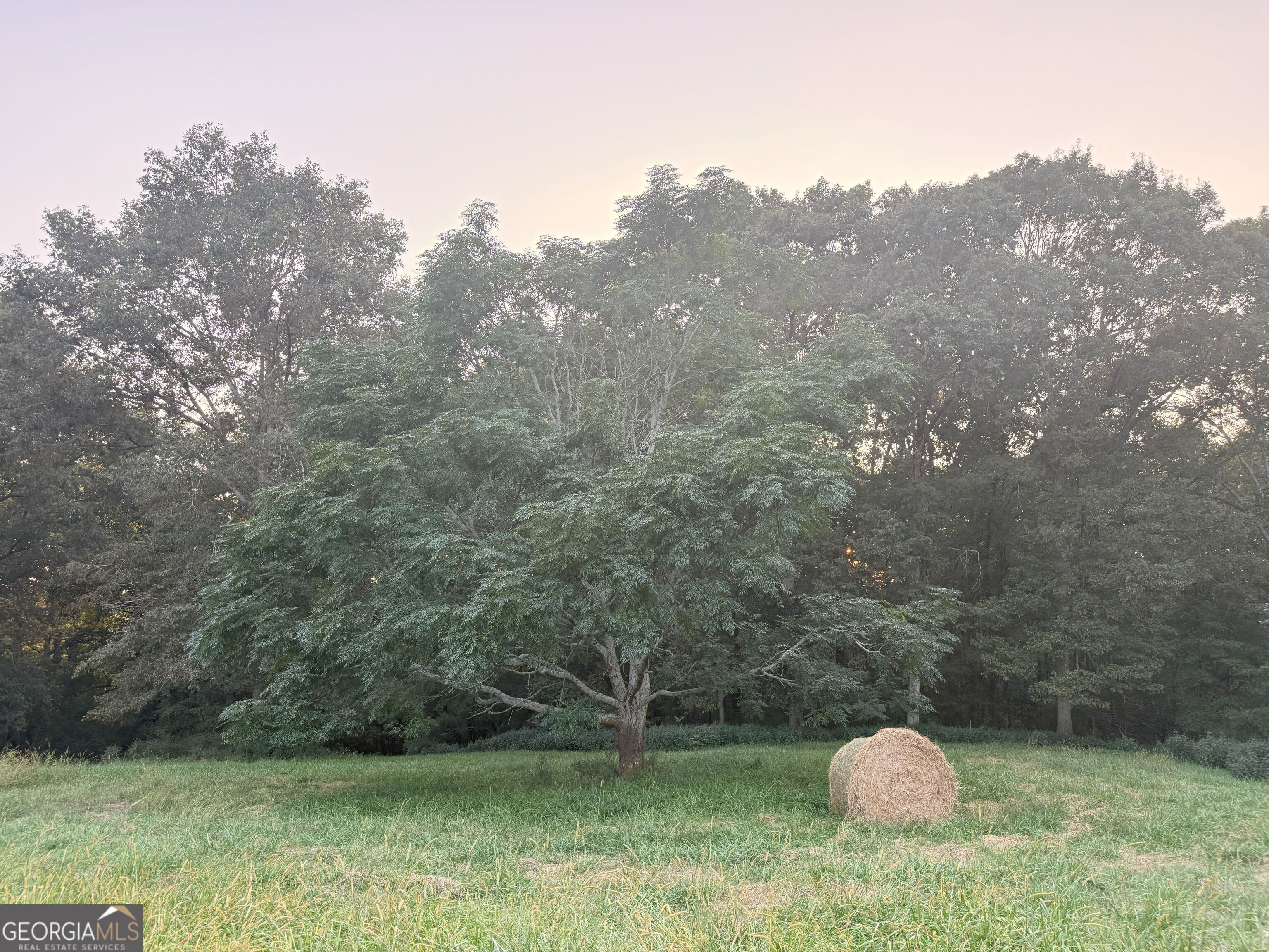 9 West L Williams Road Commerce, GA 30530 - Photo 22 of 34 a view of a field