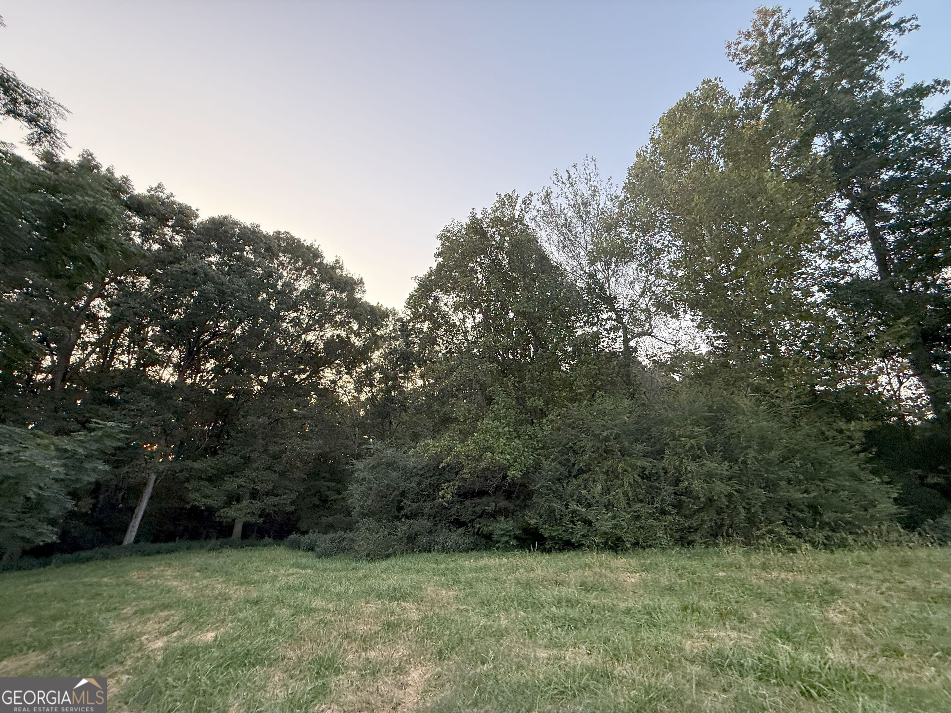 9 West L Williams Road Commerce, GA 30530 - Photo 23 of 34 a view of a green field with trees in the background