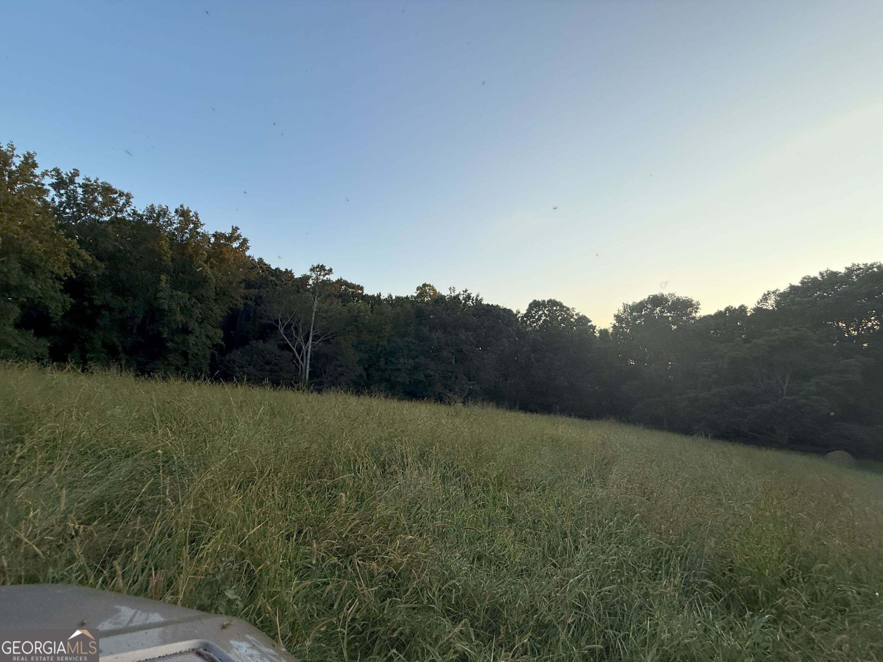 9 West L Williams Road Commerce, GA 30530 - Photo 3 of 34 a view of an outdoor space and a yard