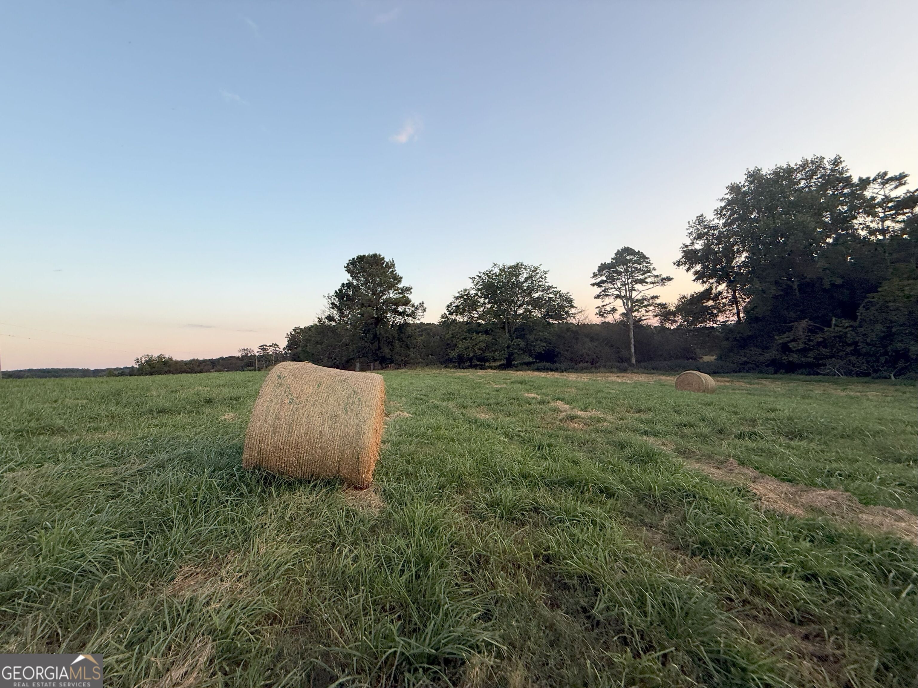 9 West L Williams Road Commerce, GA 30530 - Photo 7 of 34 a view of a backyard