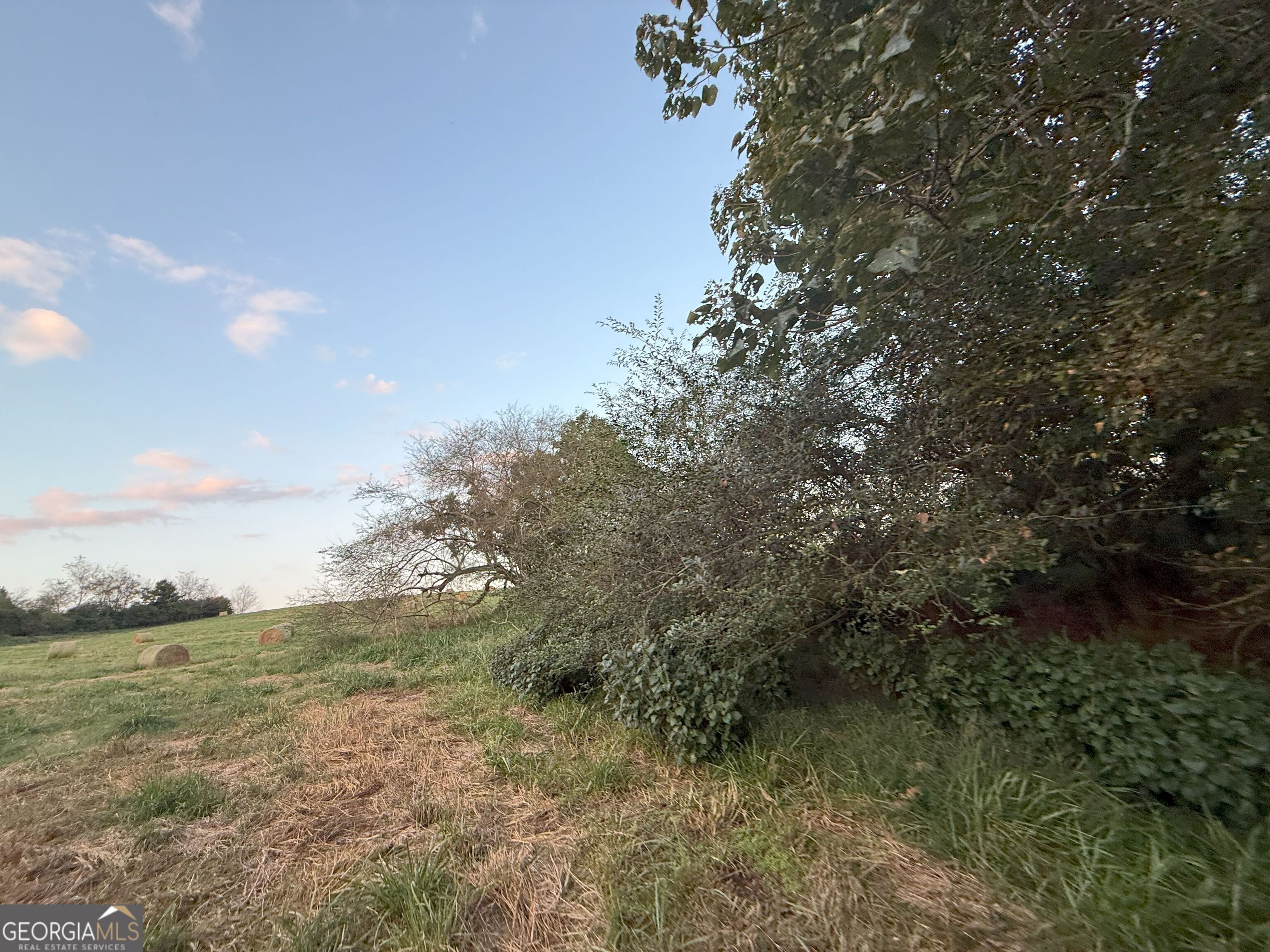 9 West L Williams Road Commerce, GA 30530 - Photo 9 of 34 a view of a forest with trees in the background