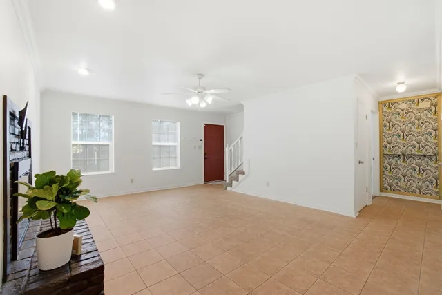 a living room with a couch and a potted plant