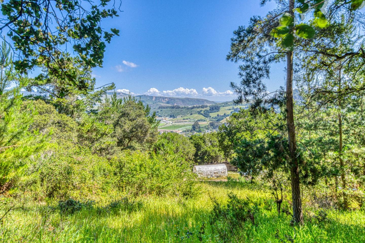415 Carpenteria Road Aromas, CA 95004 - Photo 2 of 34