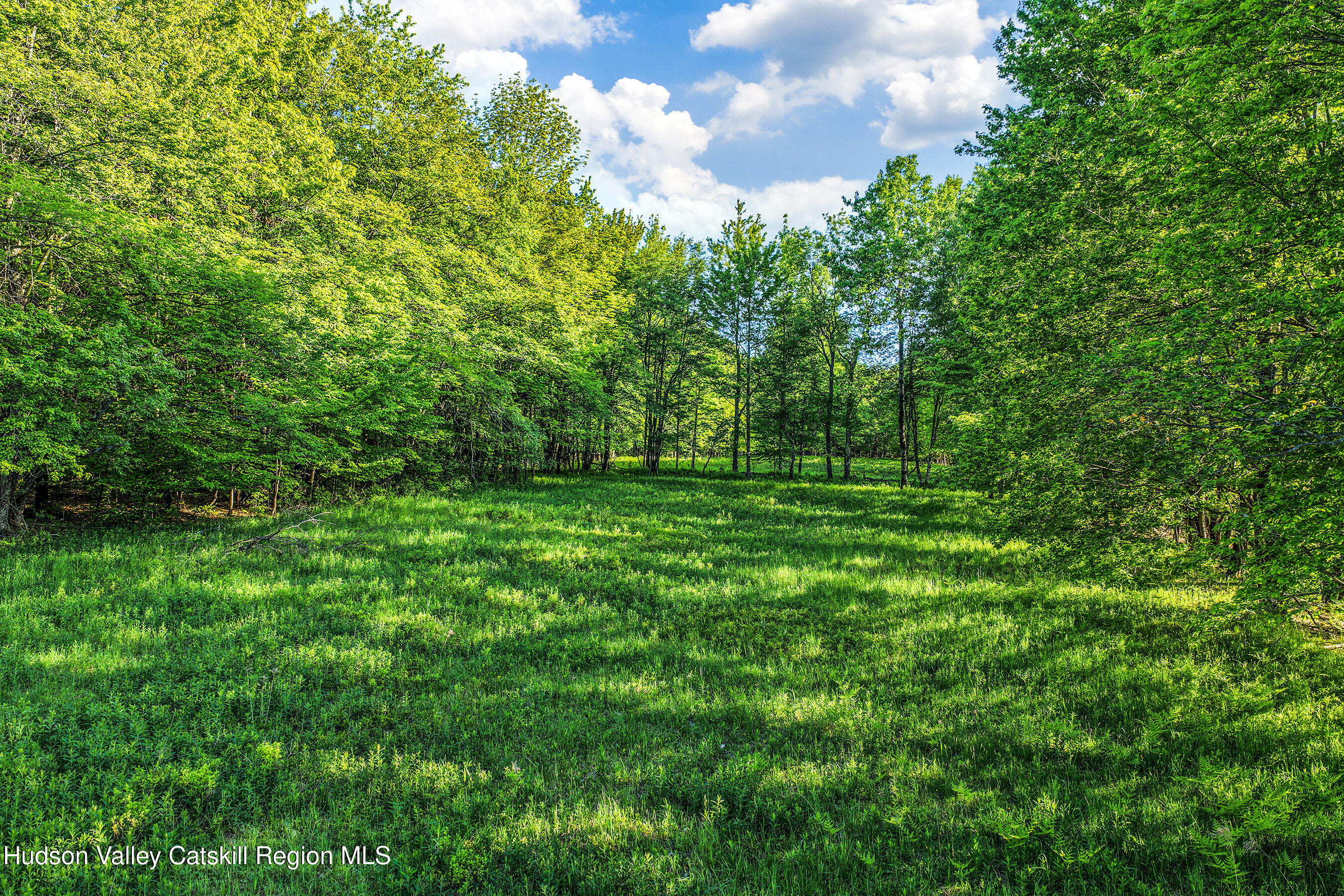 0 Frank Slawson Road Oneonta, NY 13820 - Photo 17 of 29 DJI_20260603073449_0543_D-Edit