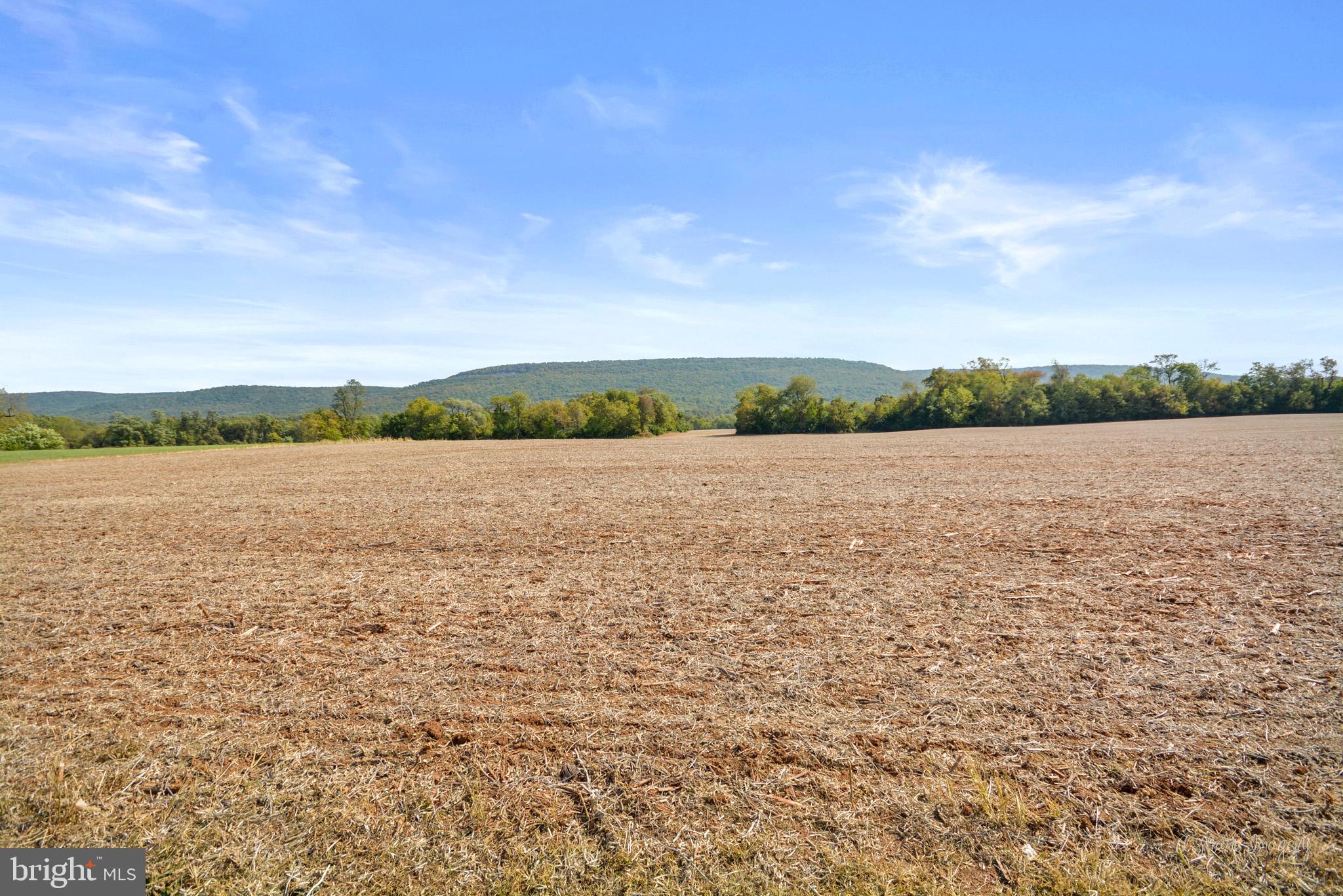 9325 Stottlemeyer Road Boonsboro, MD 21713 - Photo 48 of 48 Gallery Image 48
