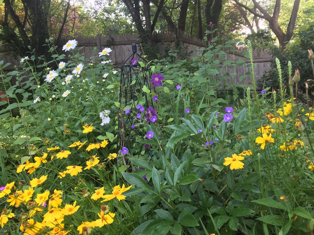 68 Old Farm Road Newton, MA 02459 - Photo 23 of 23 a view of flowers in a garden