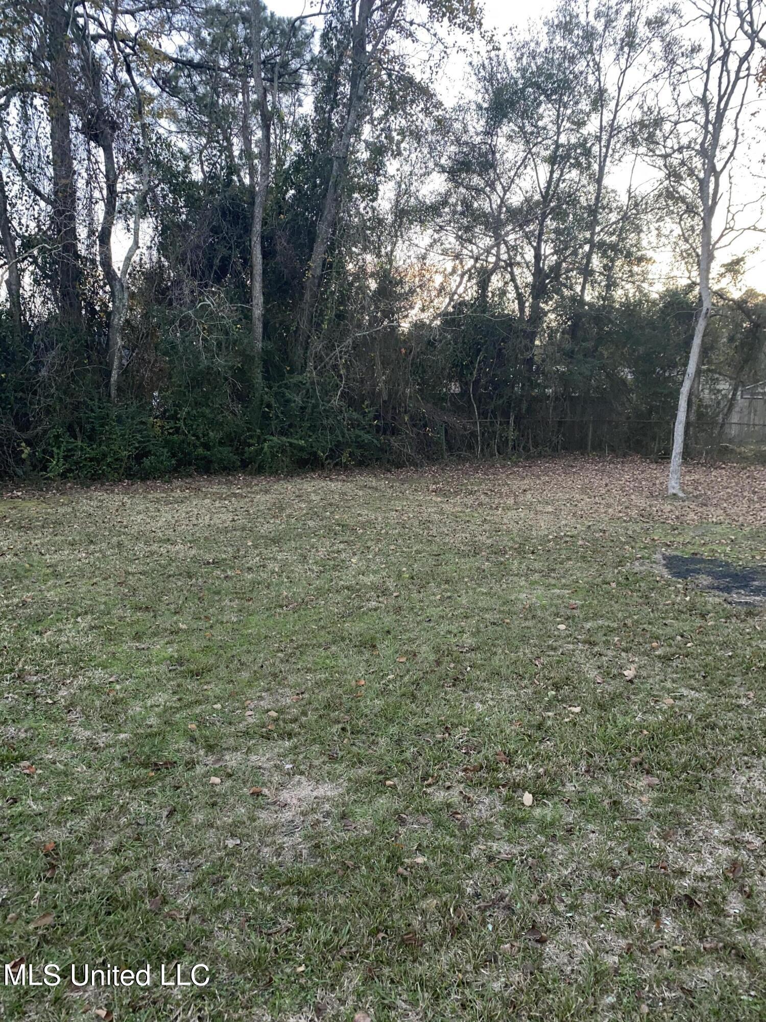 12357 Dedeaux Road Gulfport, MS 39503 - Photo 10 of 11 Back yard Dedeaux