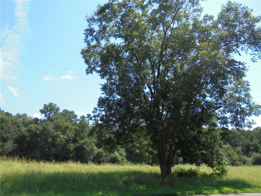 0 Mccurry Road Stockbridge, GA 30281 - Photo 2 of 9 Gallery Image 2