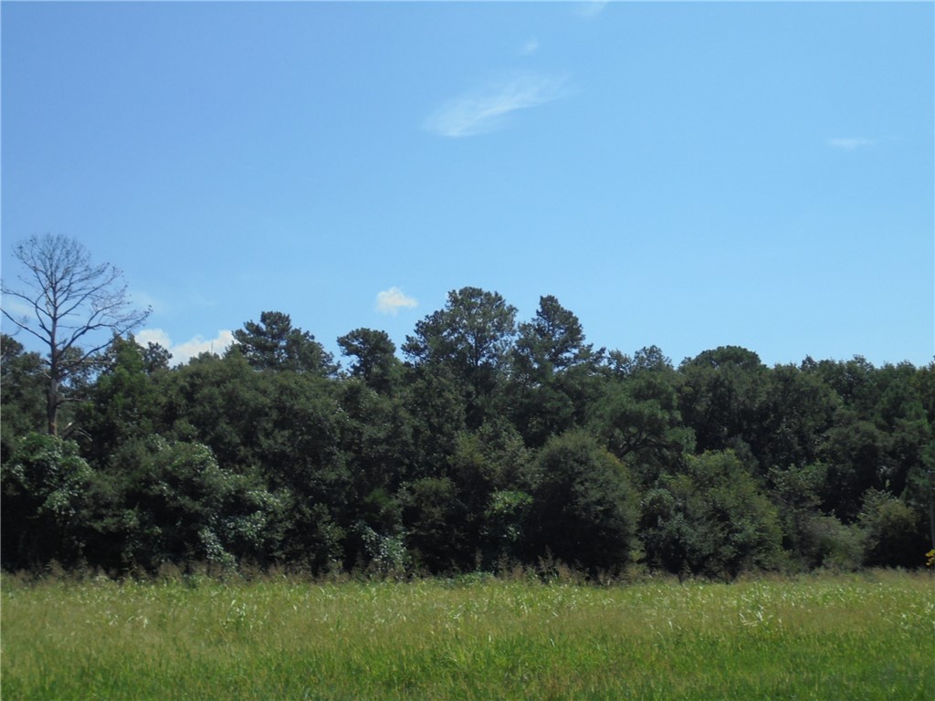 0 Mccurry Road Stockbridge, GA 30281 - Photo 7 of 9 Gallery Image 7