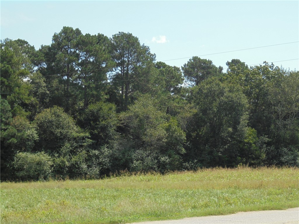 0 Mccurry Road Stockbridge, GA 30281 - Photo 8 of 9 Gallery Image 8
